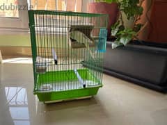Budgies available with cage