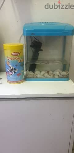 Fish tank with food (5 KD)