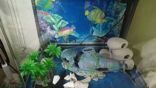 Fish Aquarium (Shelf, Decor, Fishfood, Heater included)