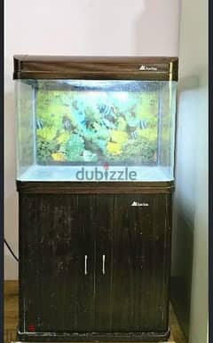 Fish Tank with cabinet