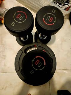 BU Dumbell and weight plate