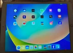 apple I pad pro ( 12.9 inch ) 512 gb wifi + cellular