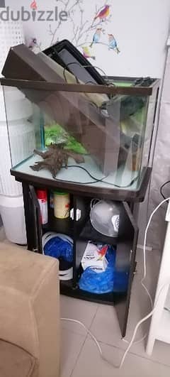Fish tank with shelves