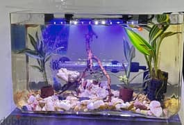 fish tanks for sale 66194701 call