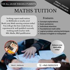 Foundation classes for Maths ( All Grades) 0