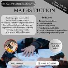 Foundation classes for Maths ( All Grades)