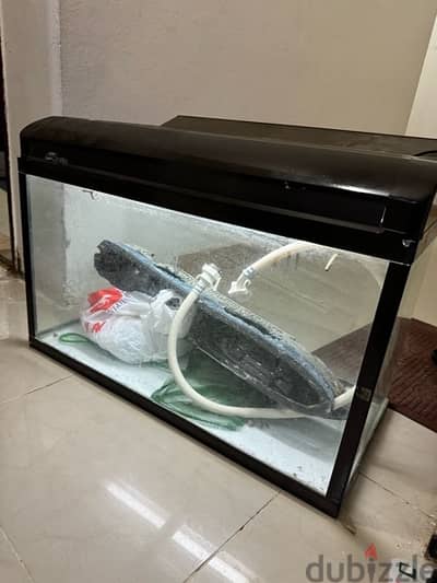 Selling big size aquarium (length 80cmx hight 60cmx width 40cm)