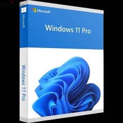 Windows 11 pro key license lifetime 0