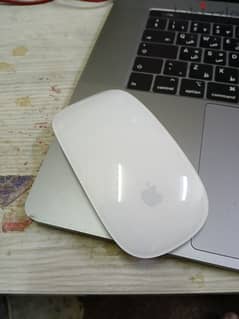 Apple mouse 1 0
