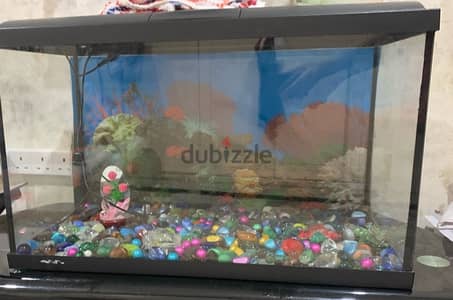 Fish Tank with decorative Pebbles and 2 Filters