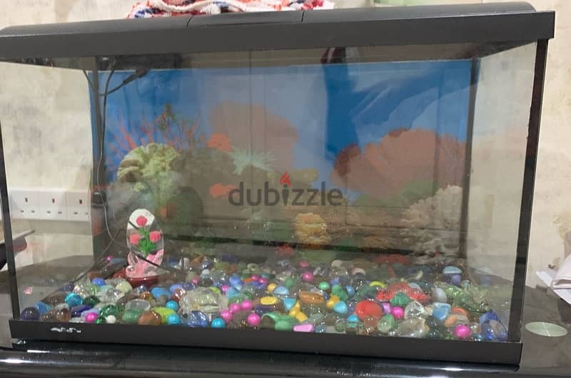 Fish Tank with decorative Pebbles and 2 Filters 0