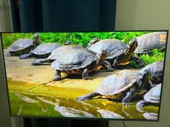 Brand new TV- Skyworth 50 inch 4K Android TV 3 months old