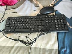 Dell mouse and keyboard other brand new litle use 0