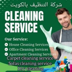 Sofa And Full Apartment Clean Service 55603200