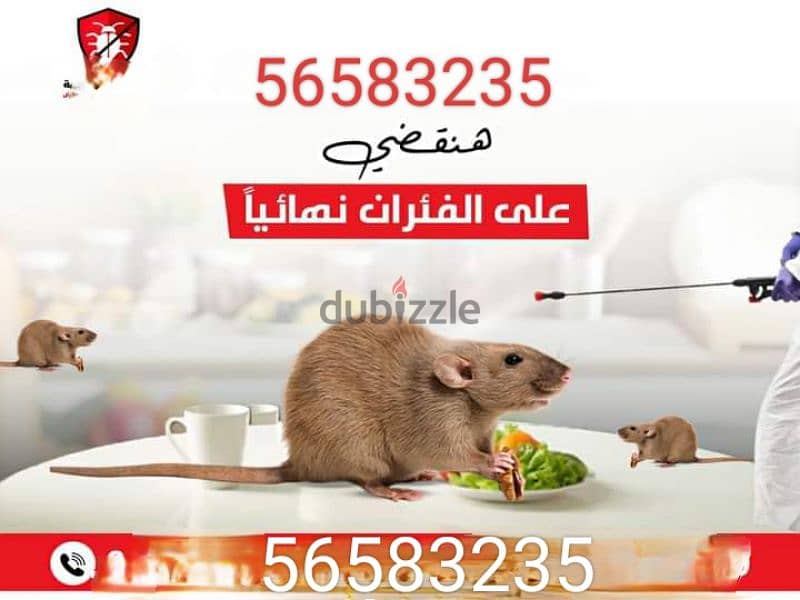 مكافحه حشرات في الكويت 2