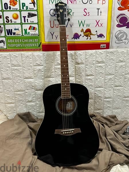 Ibanez Acoustic Guitar 0