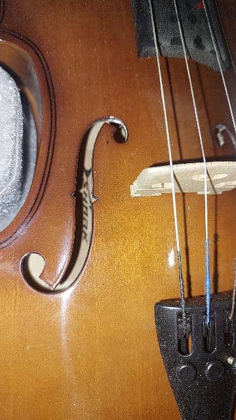 Shark violin 4/4
with the shoulder rest 1