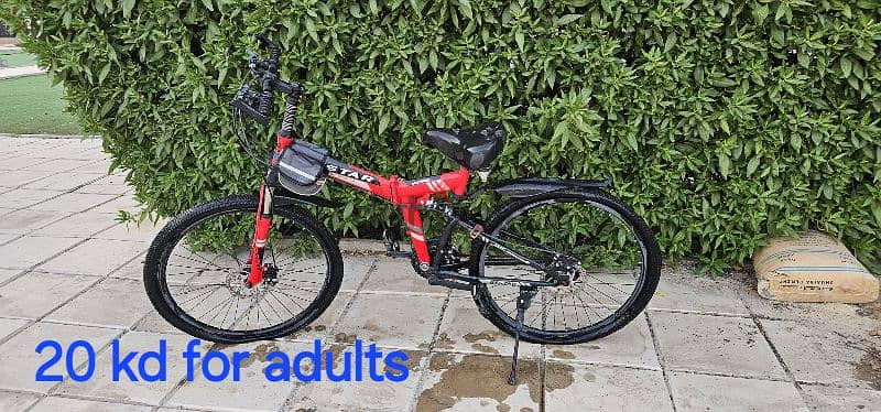 bike for adult good condition and clean 2