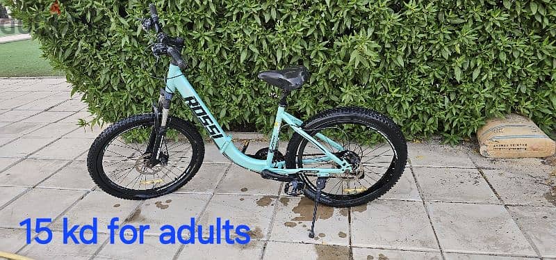 bike for adult good condition and clean 4