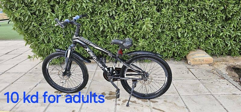 bike for adult good condition and clean 6