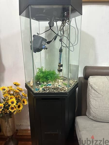 Fish tank big with stand 1