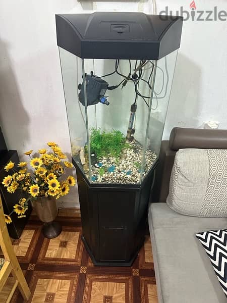 Fish tank big with stand 2