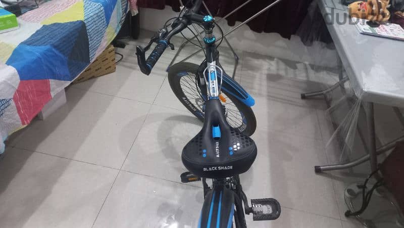 foldable bike 2