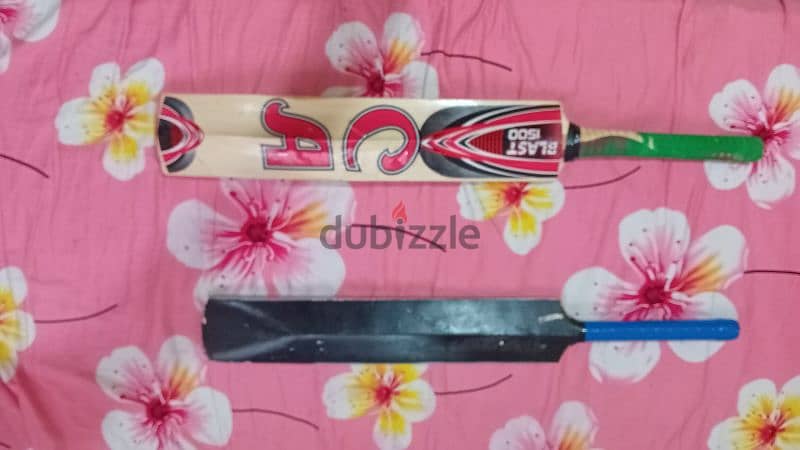 Cricket bat ball also 1