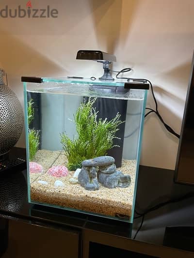 Fish Tank