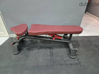 Workout commercial bench