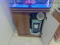 60cm tank for sale with filter