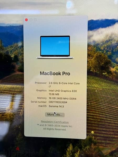 MACBOOK PRO WITH 4 GB GRAPHICS 4