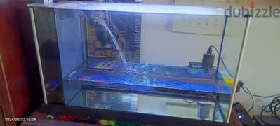 Fish tank with all accessories 0