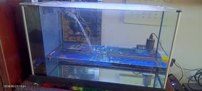 Fish tank