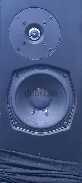 subwoofer and speaker for sale 6