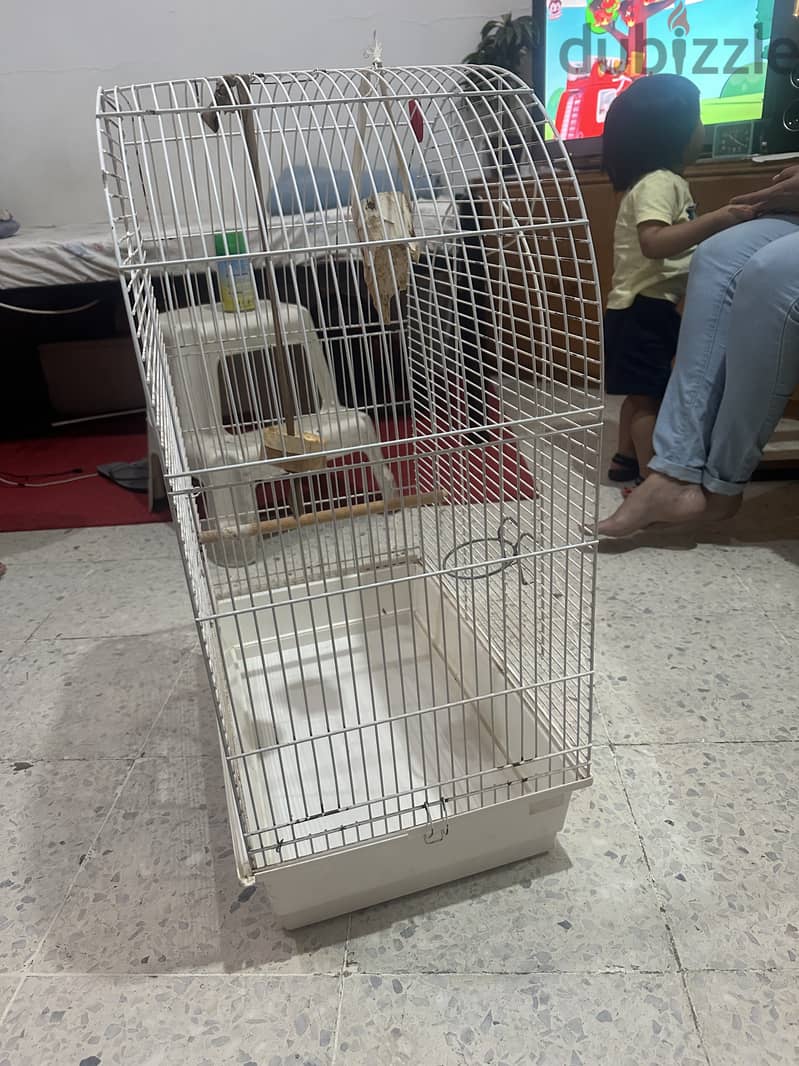 Bird cage heavy duty for sale 2