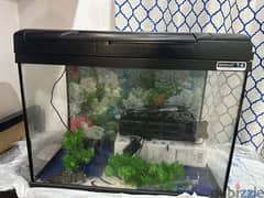 65L Aquarium with all items and table 0