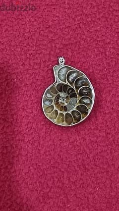 Ammonite Fossil Gemstone Necklace 0