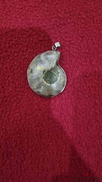 Ammonite Fossil Gemstone Necklace 2