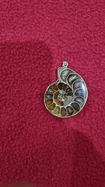 Ammonite Fossil Gemstone Necklace 3