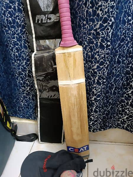 cricket bat 2