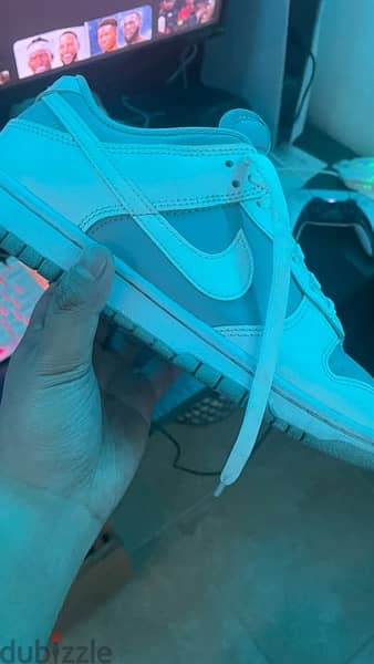 Nike Dunks size 42 5