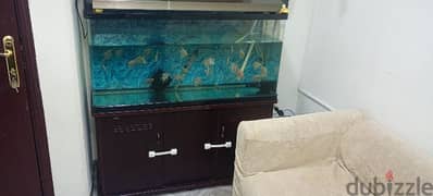 1.2 meters aquarium or fish tank for sale 0