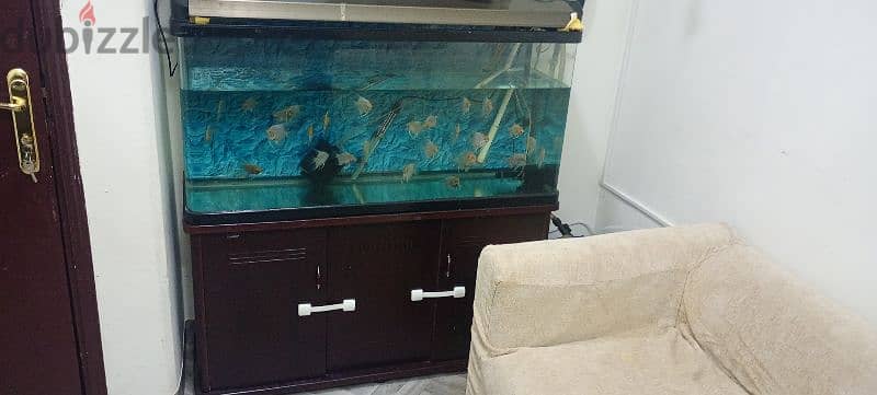 1.2 meters aquarium or fish tank for sale 1