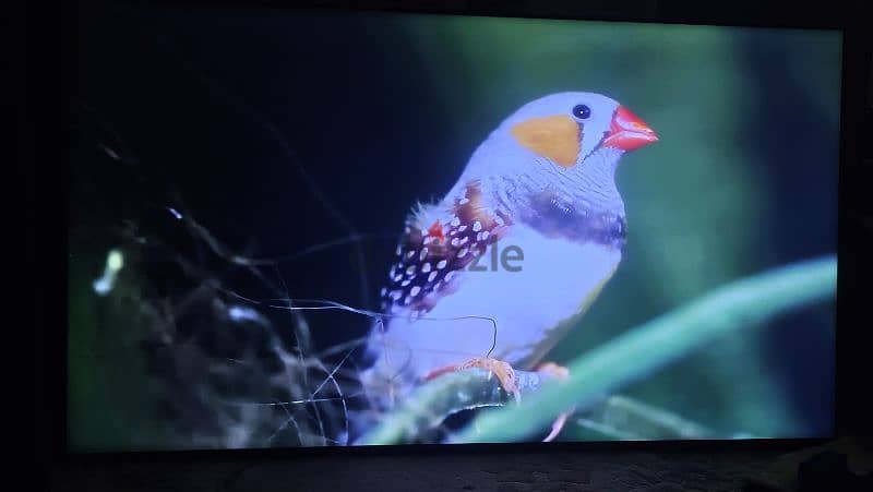 samsung 70 inch 4k smart uhd tv very good condition just small line 10