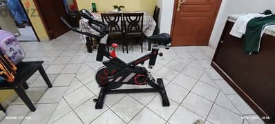 champion sports electric cycle 0