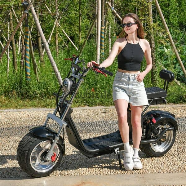 Electric Scooter 4000W Motor Max Speed 70 KM/H Max Load 250KG. 8