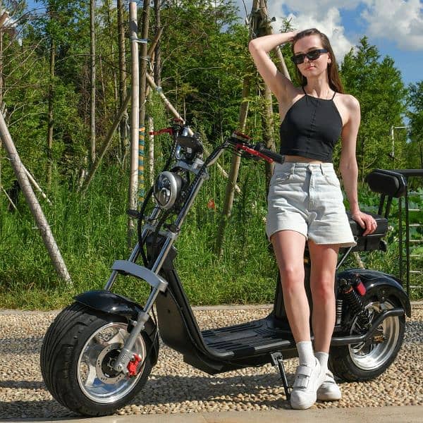 Electric Scooter 4000W Motor Max Speed 70 KM/H Max Load 250KG. 10