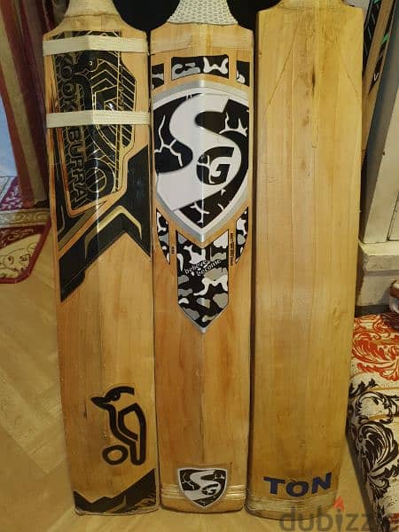 Cricket Bats 1