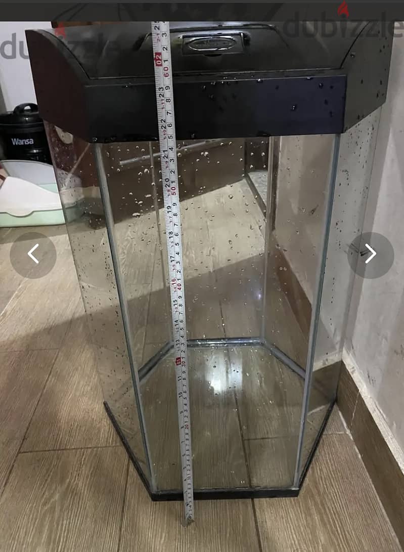 60CM TALL HEXAGON AQUARIUM 2